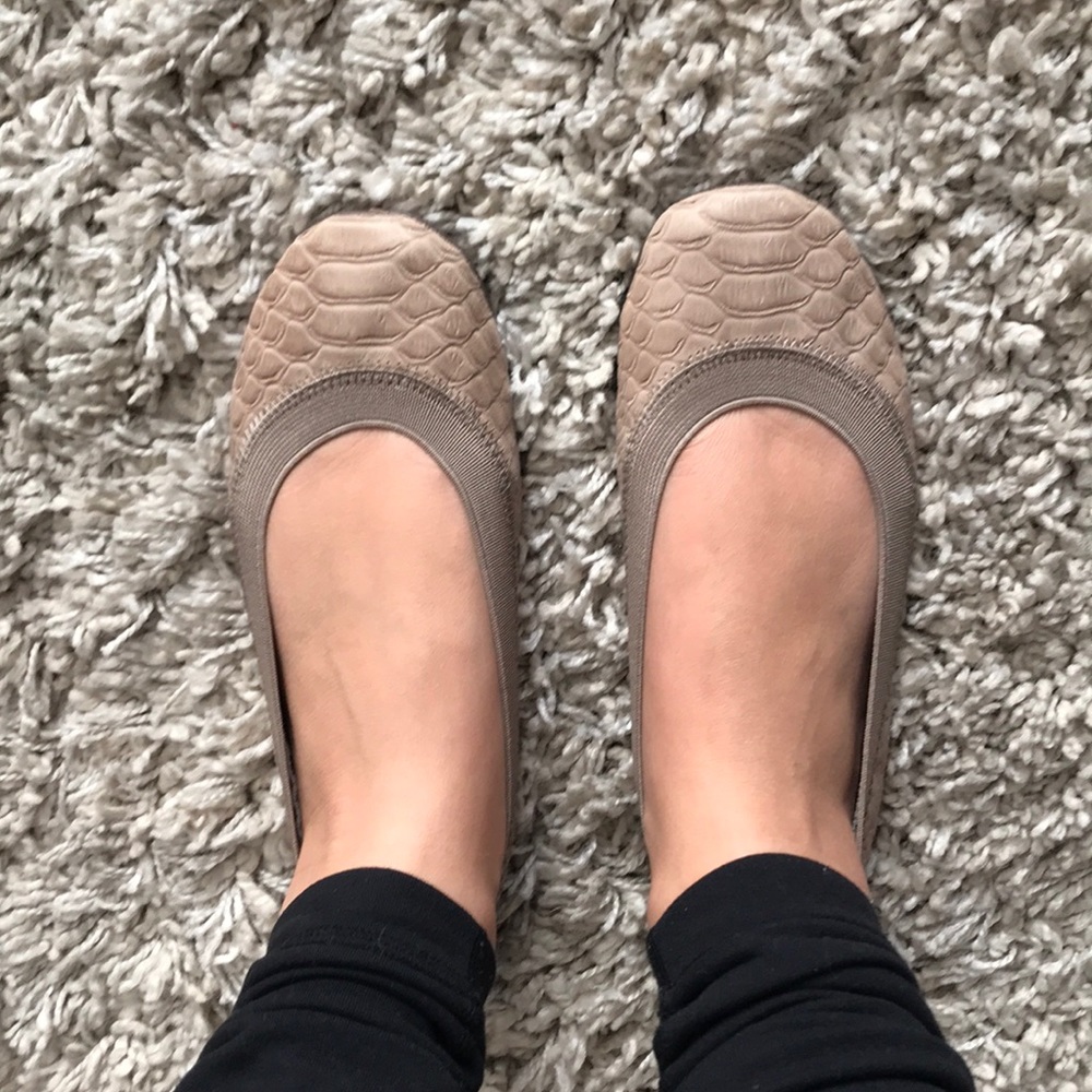 Yosi Samra Blush Snake Flats Size 6